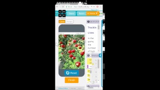 APCSP Create Task Test