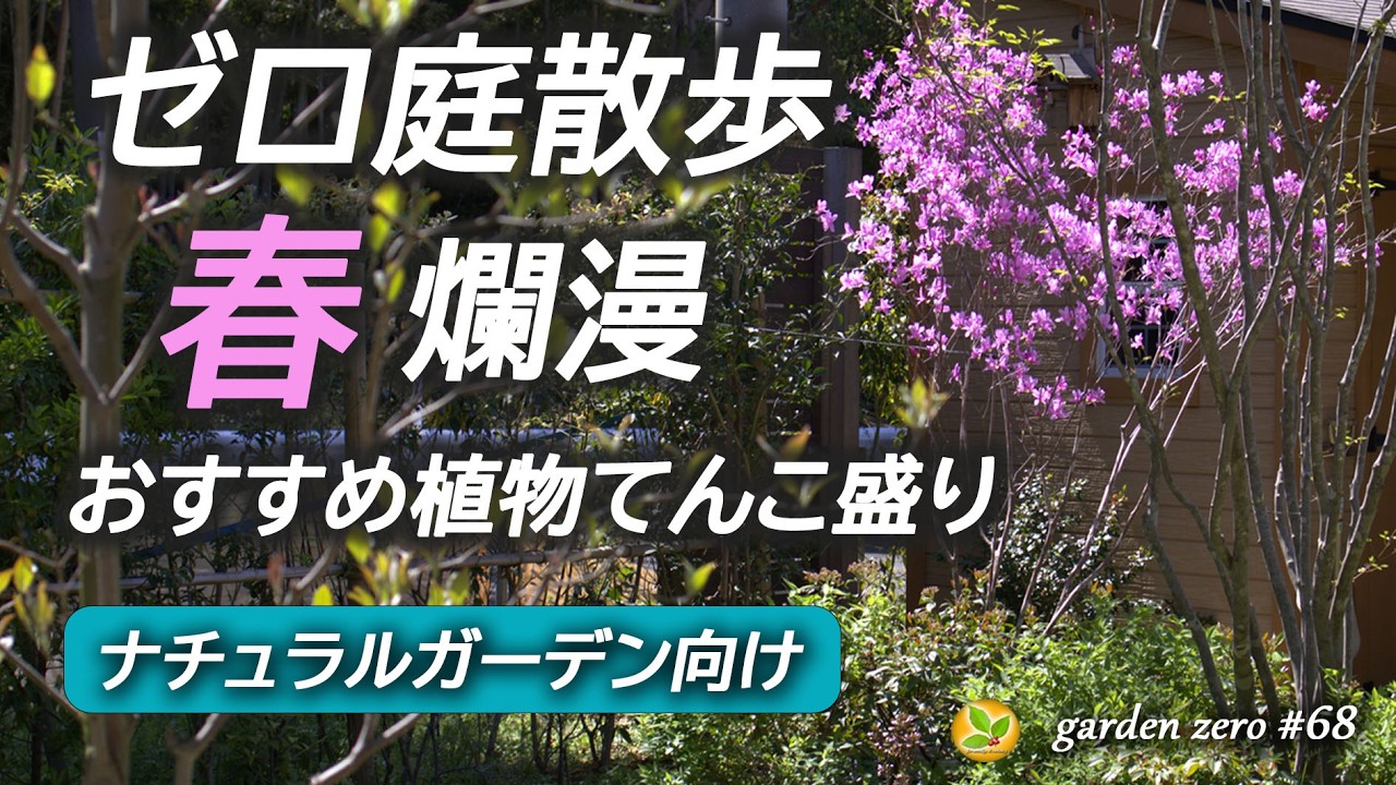 これ植えたら春の庭がもっと好きになるはず【ゼロ庭散歩】