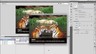 Make A Professional Website Slideshow - Part 6 - Make The Slideshow
