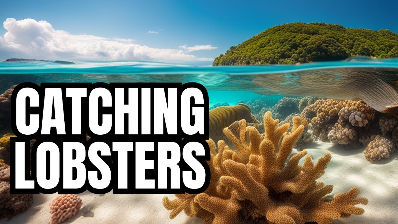 Revealing the Secrets of Catching Lobster Fishing North Atlantic Game