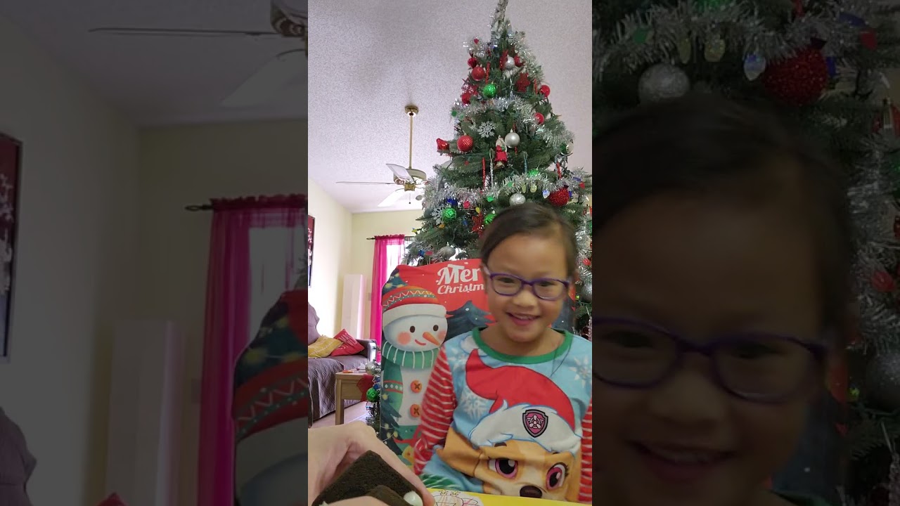 Oreo gingerbread house 2025