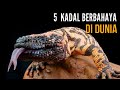 5 spesies kadal paling berbahaya di dunia