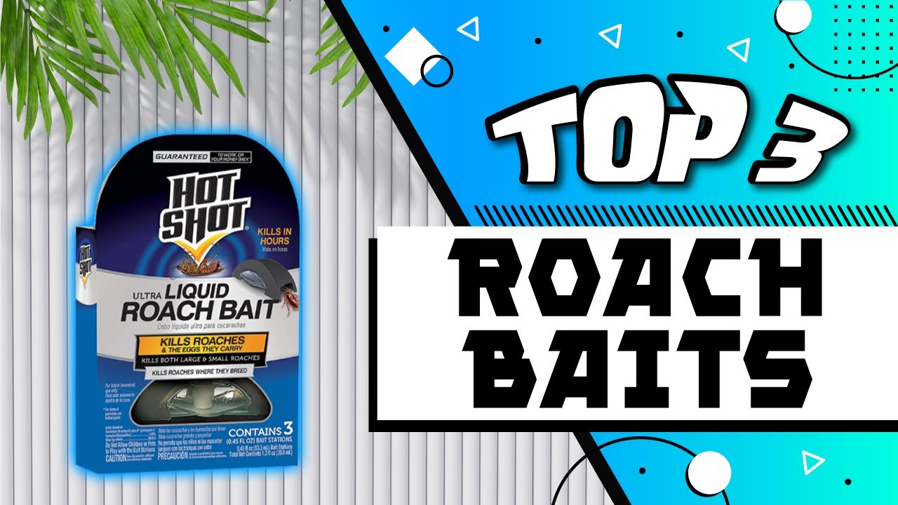 Best Roach Baits Edited