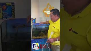 Encuentra todo para tu acuario y pecera en Ecuador. MascotaModa Online.