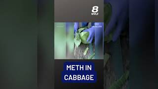 Information DEA Finds 2,000 Pounds of Meth Hidden in Cabbage Shipment Guide