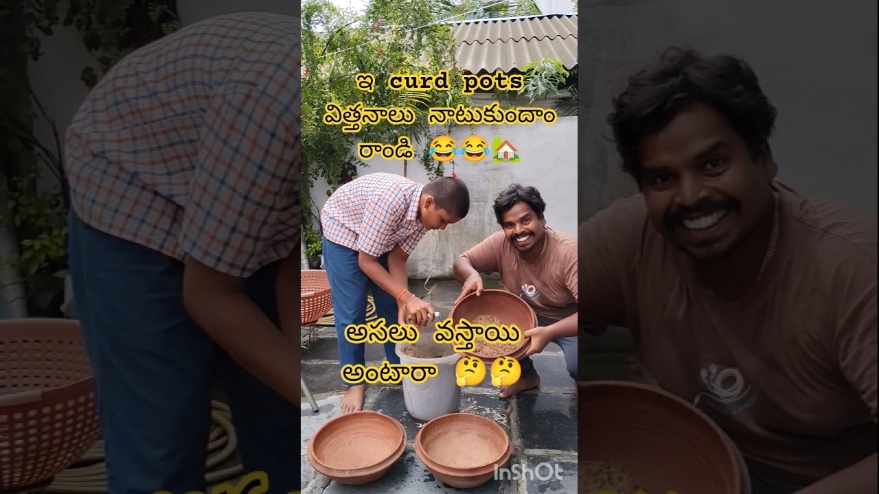 curd pots లో seeds వేయడానికి 😂#gardening