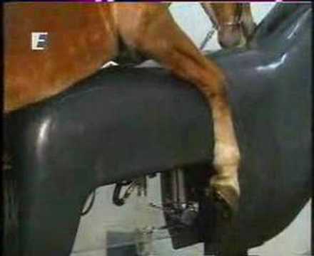 Horse Semen Collector