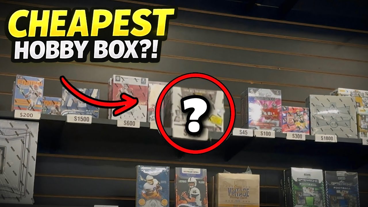 I Bought the CHEAPEST Hobby Box in The Entire Shop