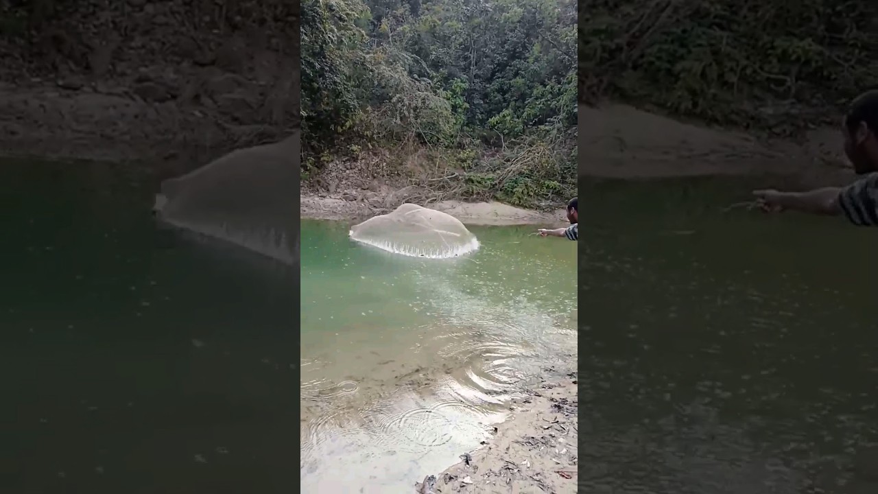 unique cast net throughing and fishing 