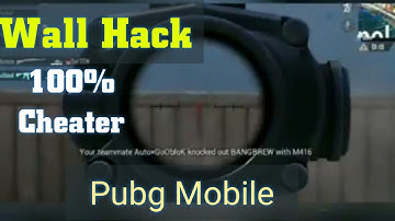 This Man Can Kill Through Walls | Pubg Mobile Hacker