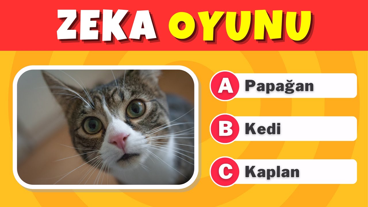 Eğlenceli Bulmaca ve Tercih Oyunu 🧠 Zeka Bulmacası Başlıyor! 🎉🧠 Zeki ...