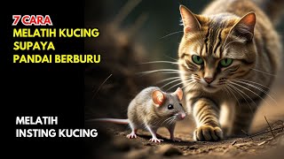 7 CARA MELATIH KUCING SUPAYA PANDAI BERBURU