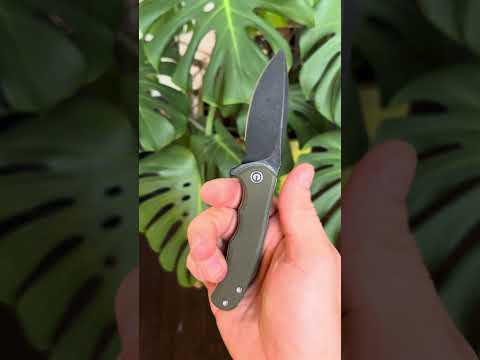 CIVIVI Mini Praxis Customized Blackwash D2 Blade OD Green G10 Silver Hardware black clip  kmife