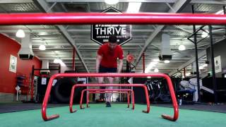 Thrive Program Overview Full