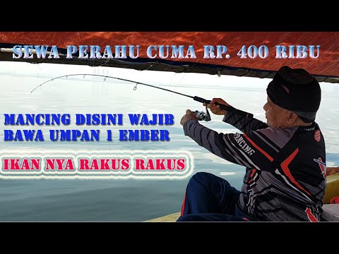 Video: Bagaimana Mengatur Sewa Perahu