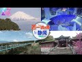 【若一調査隊】 静岡県の意外な『世界一＆日本一』に迫る！ ２つの吊り橋を徹底調査！圧巻の景色とその歴史とは 【春の静岡スペシャル】