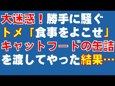 スカッとする話　大迷惑なトメ！　勝手に騒ぐトメ「食事をよこせ！」　キャットフードの缶詰をトメに渡してやった結果…　ハリセン、モーニングスターが活躍！？　スカッと爽快＆ジーンと感動 SKチャンネル