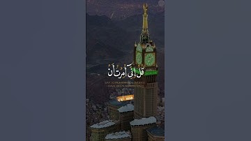 #تلاوات #تلاوات_خاشعة #تلاوة_خاشعة #تلاوة #quran #القرآن #القرآن_الكريم #القارئ #محمد_ايوب #reels
