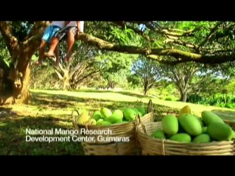 ABS CBN Iloilo Bida Best Iloilo 2011 V1