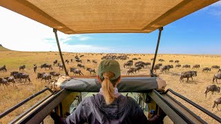 Die Grosse Migration Der Gnus Serengeti Mara River Post Tansania 2022 4K-Video