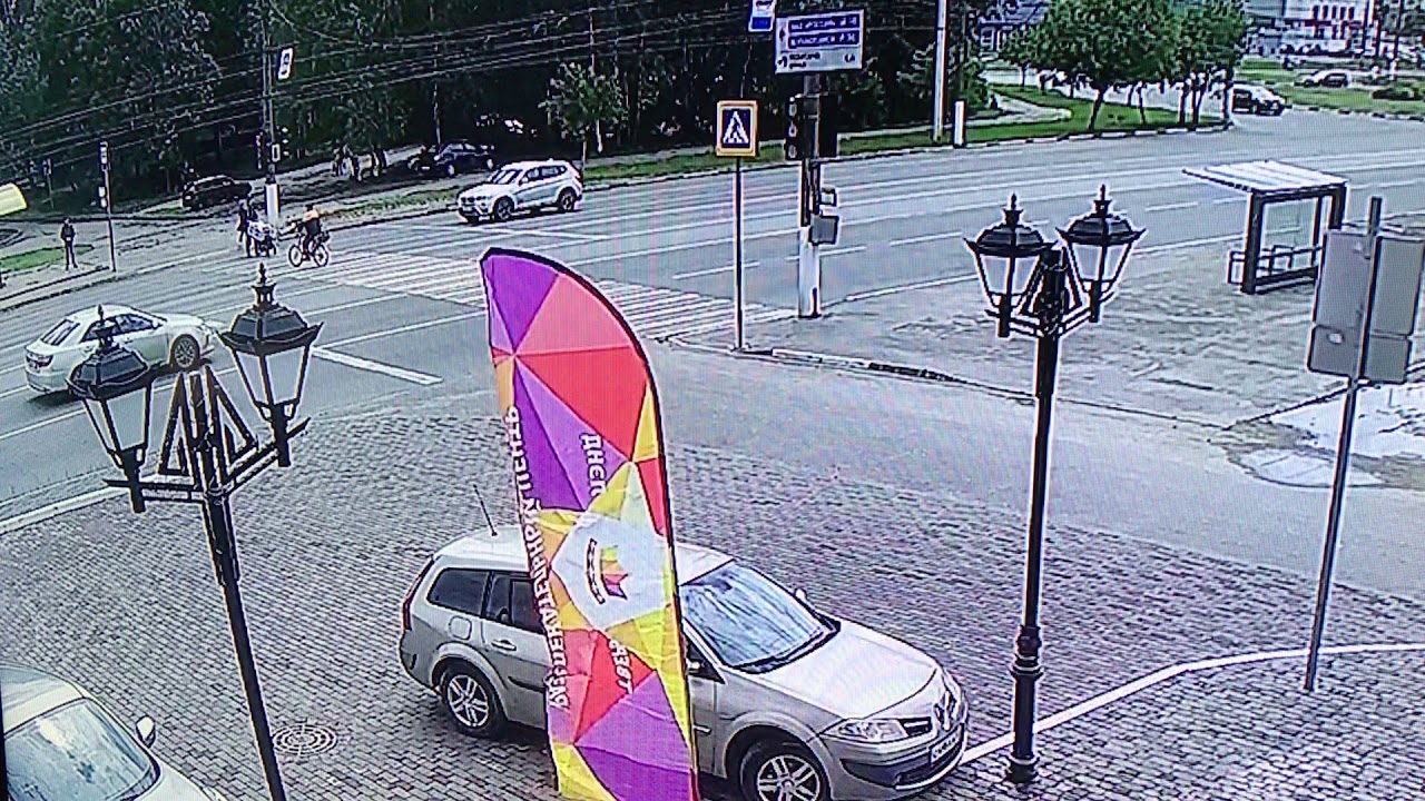 Собака в багажнике