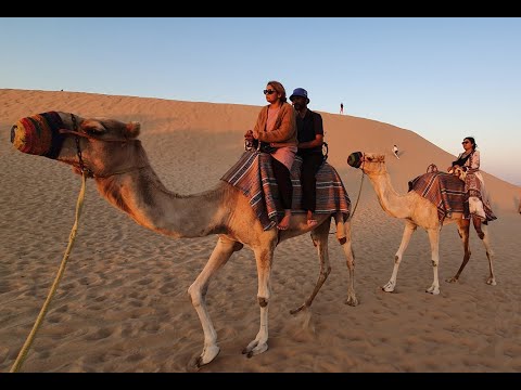 Desert Safari Dubai 2019