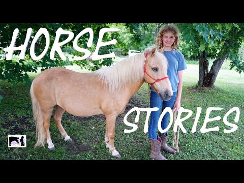 horse-stories---my-pony-dusty---e11
