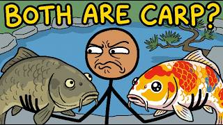 Why Do We Hate Carp But Love Koi?