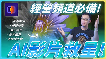 【經營 YouTube 頻道必備!】全能影片救星推薦｜AI 畫質增強、影片資料修復、黑白著色一次搞定！拯救你的素材庫！#vikpea