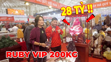 CỰC HIẾM: Khám Phá Khối Ruby Trị Giá 28 Tỷ Đồng Có Gì Đặc Biệt? Tham Quan Triển Lãm Đá Quý Tại VEC