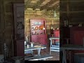 Walking the Ninety Six Revolutionary War Battlefield | Star Fort Siege Tour #Shorts