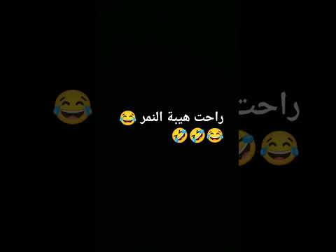 راحت هيبة النمر