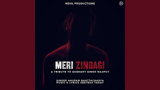 Meri Zindagi (A Tribute to Sushant Singh Rajput) screenshot 5