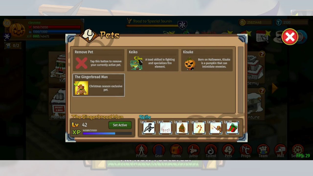 Ninja Master: A Shinobi Saga Review Pet Chrismas Event