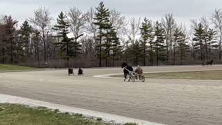 Ashlee Kayden And Shark Queen In 30