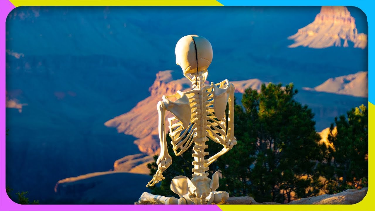 Bringing my deceased son to the Grand Canyon (Zaltoman AFK)