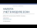 Урок №6. Учет Налогов при формировании расходов для целей ЕСХН