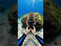 view under water #america #america #automobile #usa #ai #water #trending #shorts