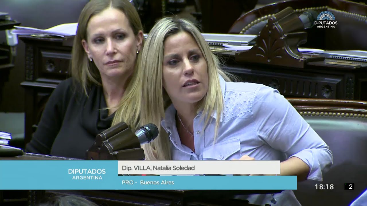 Diputada Villa Natalia Soledad Sesión 13062018 PL YouTube