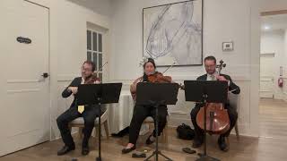 Download Lagu Auld Lang Syne String Trio Cover MP3