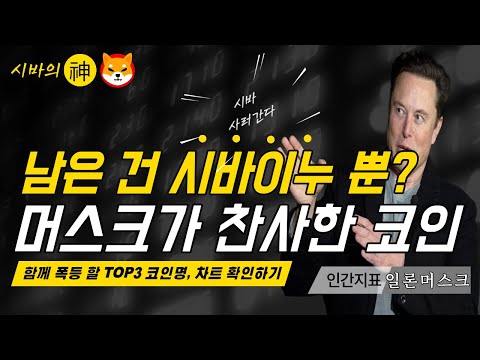 [시바이누] 남은건 시바이누뿐! 머스크가 찬사한 코인으로 등극