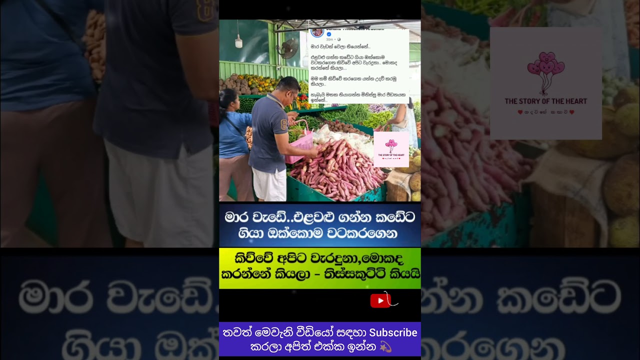 තිස්ස කුට්ටි පෙළට ගියාම වෙන ජරමර 😂 