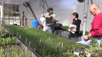 Seed Starting Part 1 How to Germinate Successfully