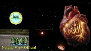 The Divine Rhythm: Human Heart Anatomy with Allah Hu Zhikr