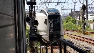 E259系Ne019編成 回送列車 大船駅発車