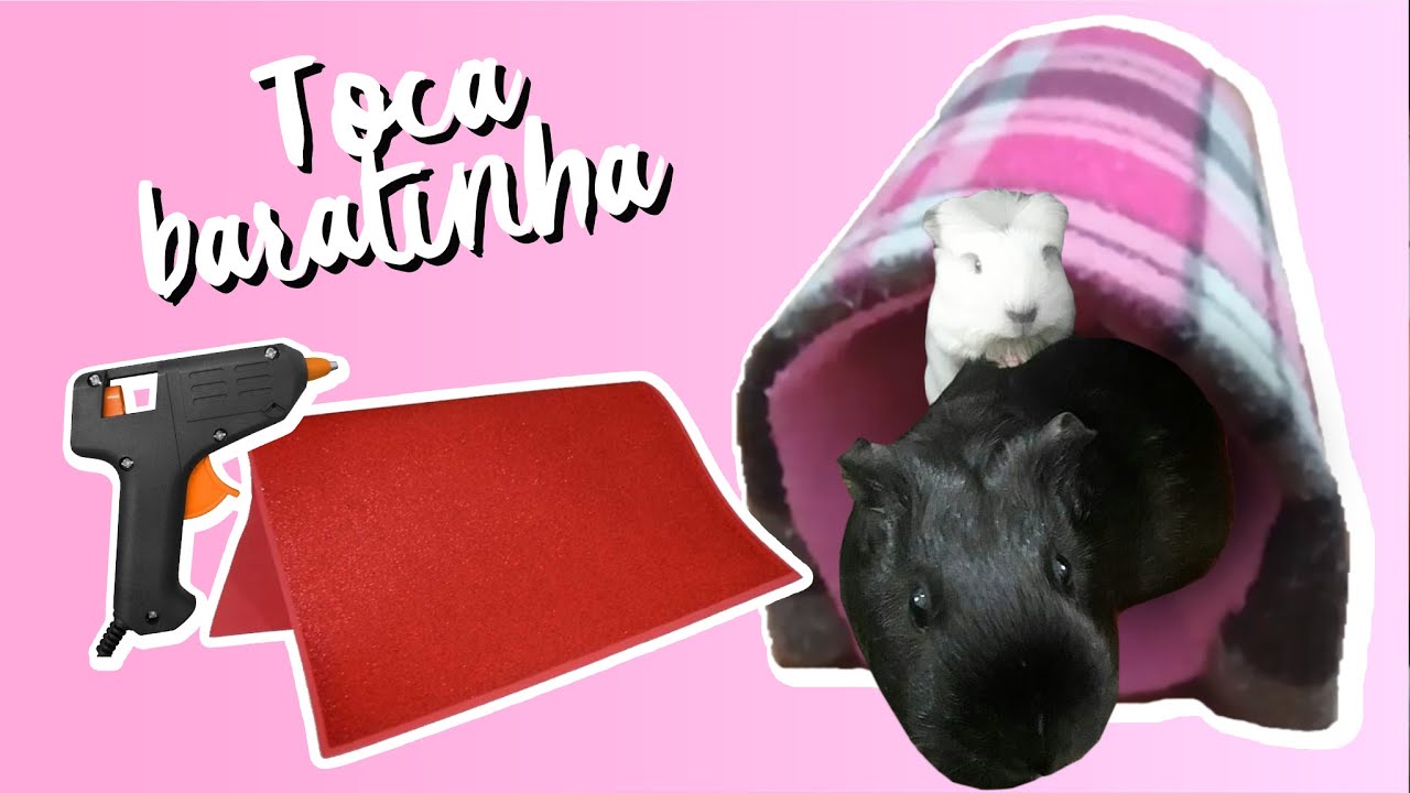 Faça uma toca para porquinho da índia com E.V.A