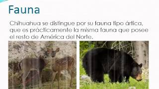 Ecosistemas  de México