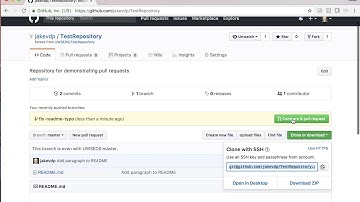 Create Branch in GitHub | Pull Request in GitHub | Merge Pull Request in GitHub | Master Branch