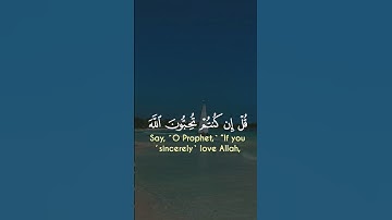 "قرآن يتلى آناء الليل وأطراف النهار"  #قرآن #قران_كريم #قران #تلاوة_خاشعة #تلاوات #راحة_نفسية