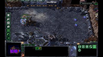 Ultraling vs Immortal